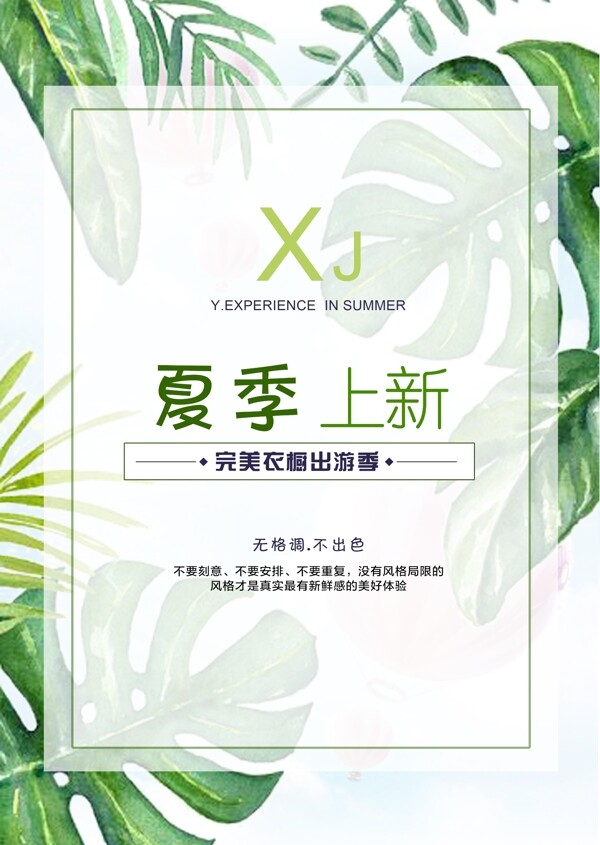 夏季上新