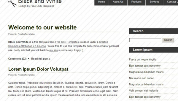 黑白简单BLOG网页模板