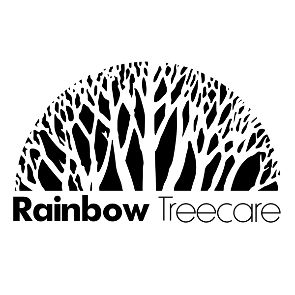 彩虹treecare