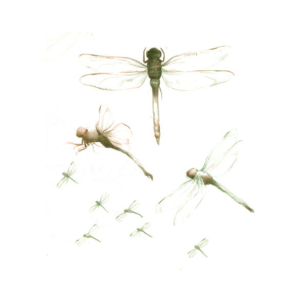 位圖插畫(huà)動(dòng)物插畫(huà)藝術(shù)效果手繪免費(fèi)素材