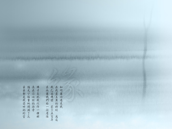 心戀主題心戀主題二婚紗模板影樓魔法書DVD41