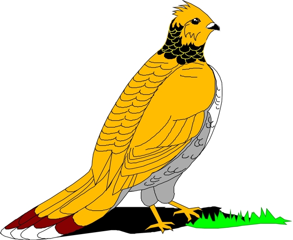 矢量逼真鳥類動物44