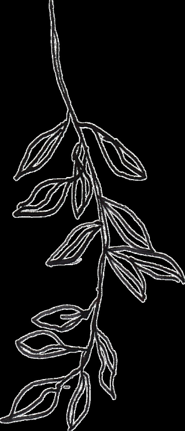 藝術(shù)枝柳卡通透明素材