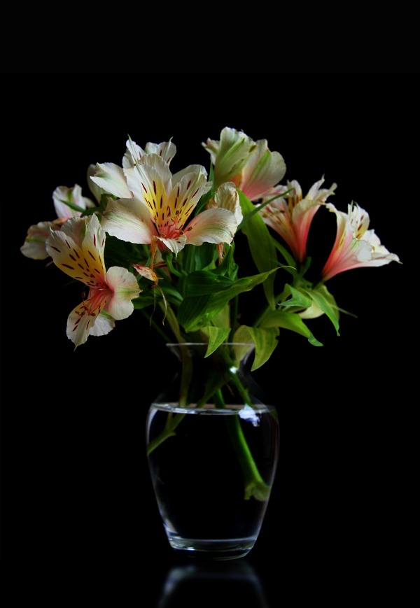 百合花