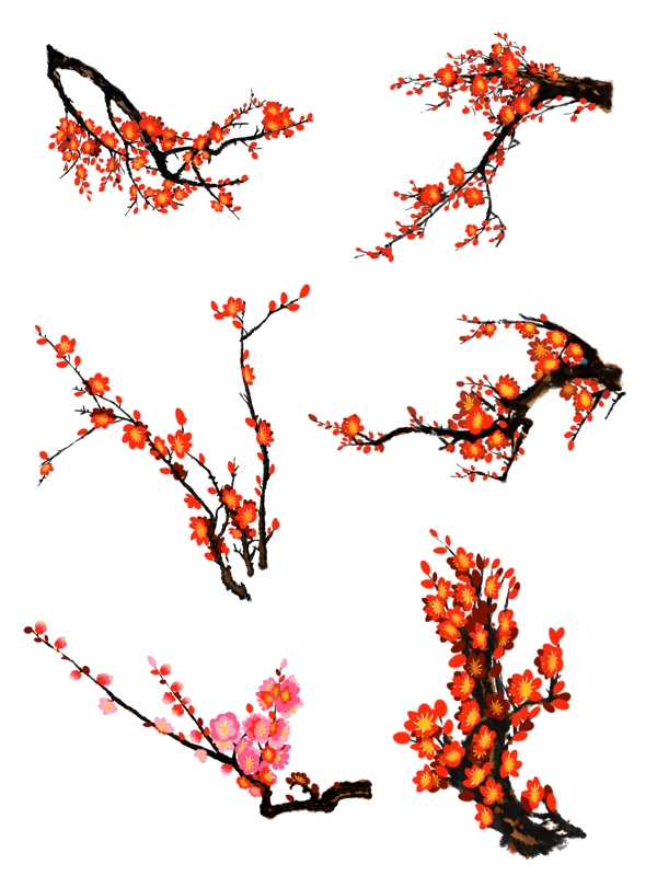 中国风手绘花卉PS分层插画梅花素材套图