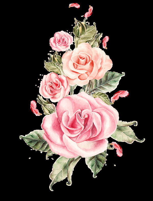 清新素雅浅色玫瑰花装饰元素