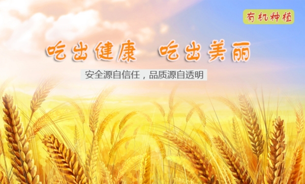 banner農(nóng)產(chǎn)圖片