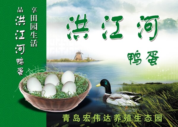 鴨蛋箱圖片