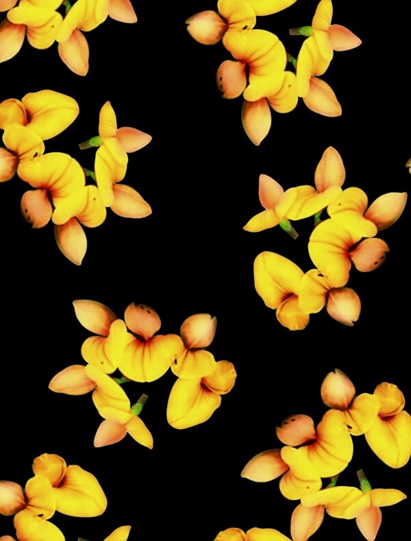 抽象花