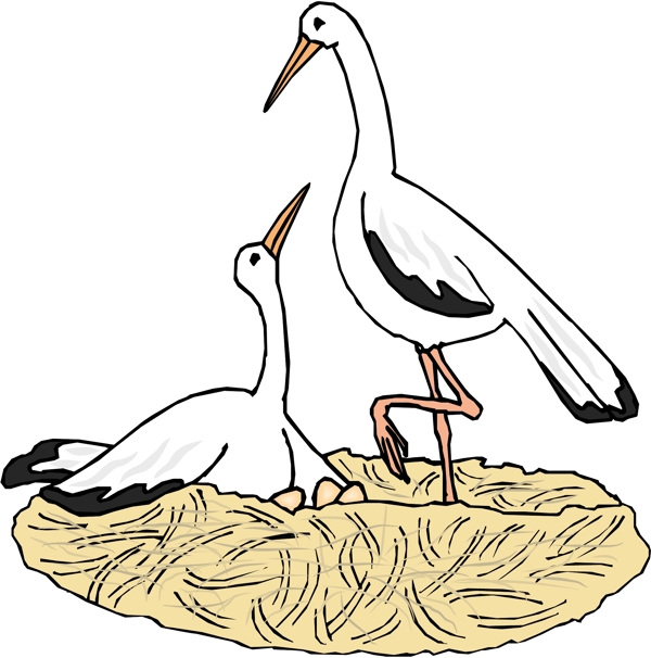 各種鳥類鳥動物矢量素材EPS格式0581