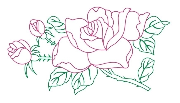 玫瑰花線條圖片