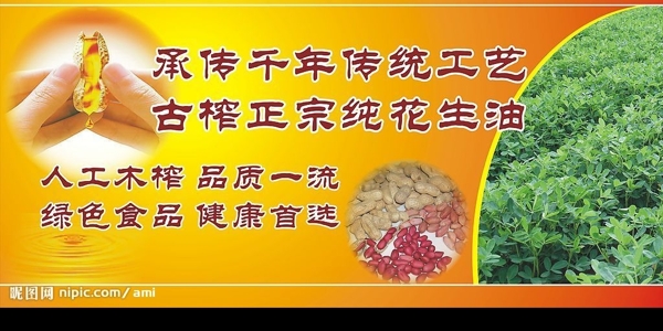 花生油廠宣傳圖