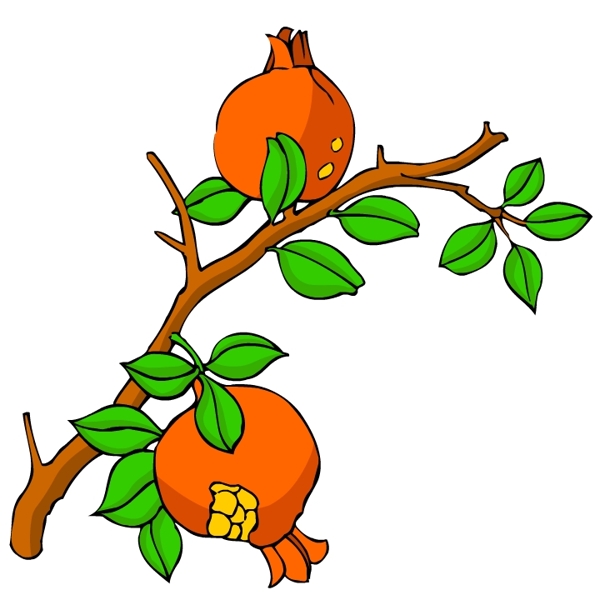 花卉古典插畫