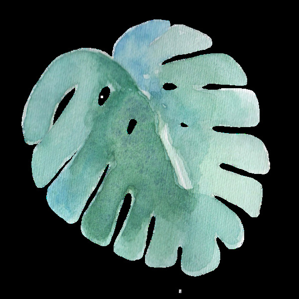 熱帶樹(shù)葉透明裝飾圖案