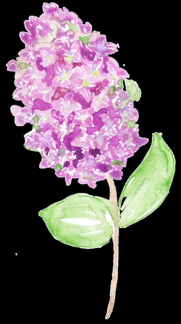花心紫葉卡通透明素材