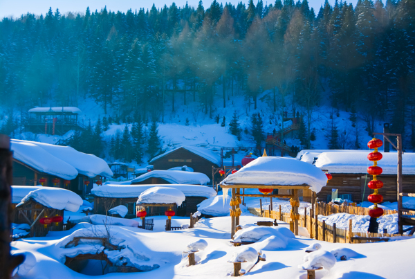 茂密的樹林和掛著紅燈籠的雪鄉(xiāng)美景風(fēng)光