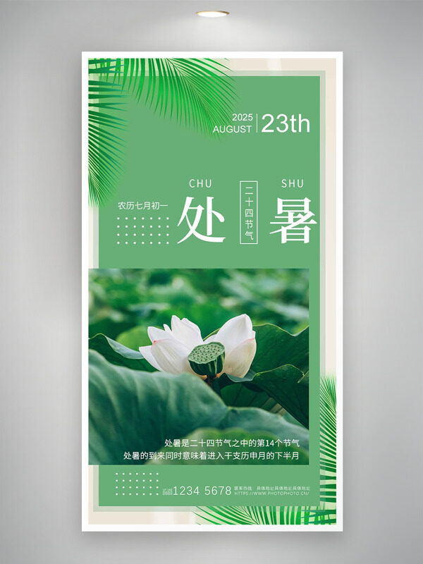 清新簡約白色荷花蓮蓬處暑節(jié)氣海報(bào)