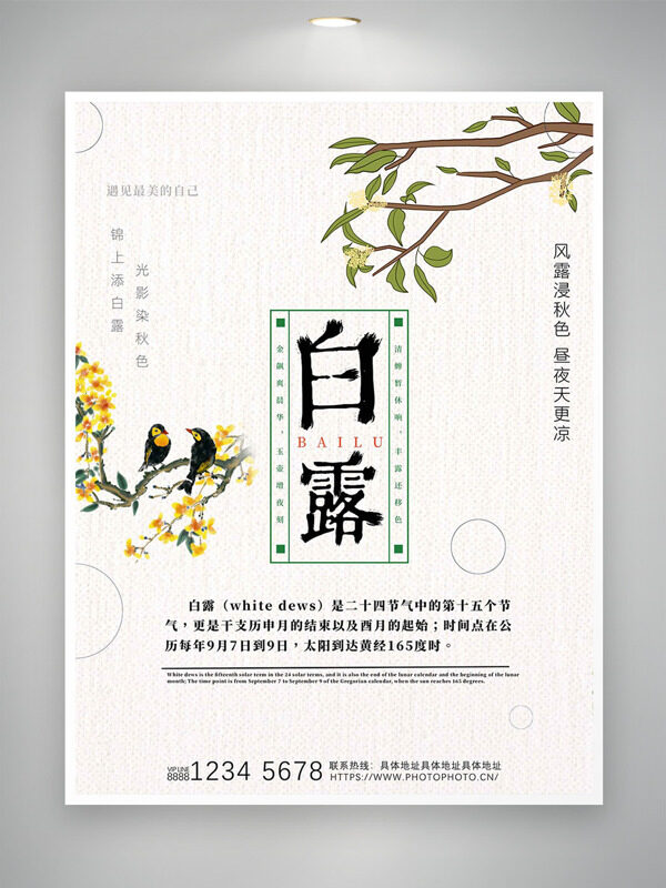 極簡(jiǎn)風(fēng)格中式手繪花鳥畫白露節(jié)氣海報(bào)