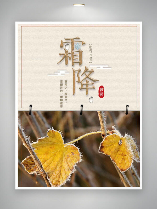 枯葉凝霜傳統(tǒng)二十四節(jié)氣之霜降海報(bào)