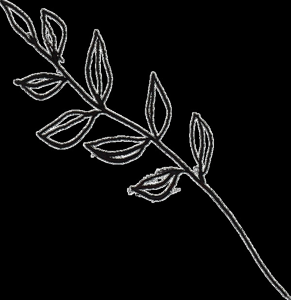 线条描绘植物卡通透明素材