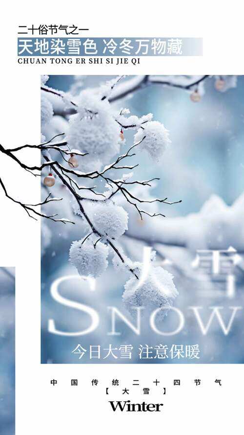 簡約文藝銀裝素裹大雪節(jié)氣創(chuàng)意海報