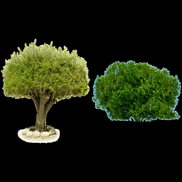 两棵绿色的树免抠png透明图层素材