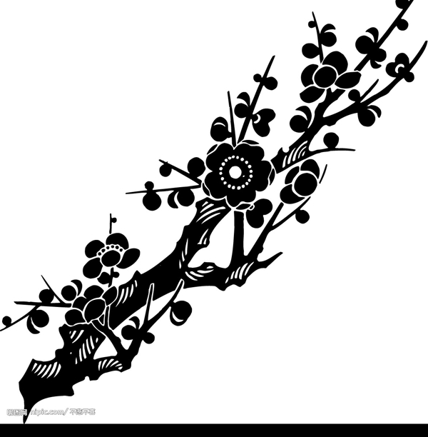 矢量梅花08圖片