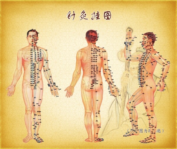 中医分层不细实际像素下非高清图片