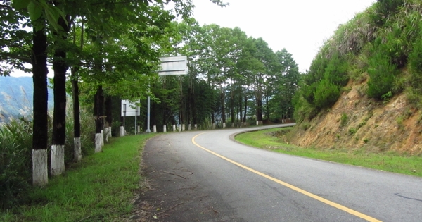 乡村公路图片