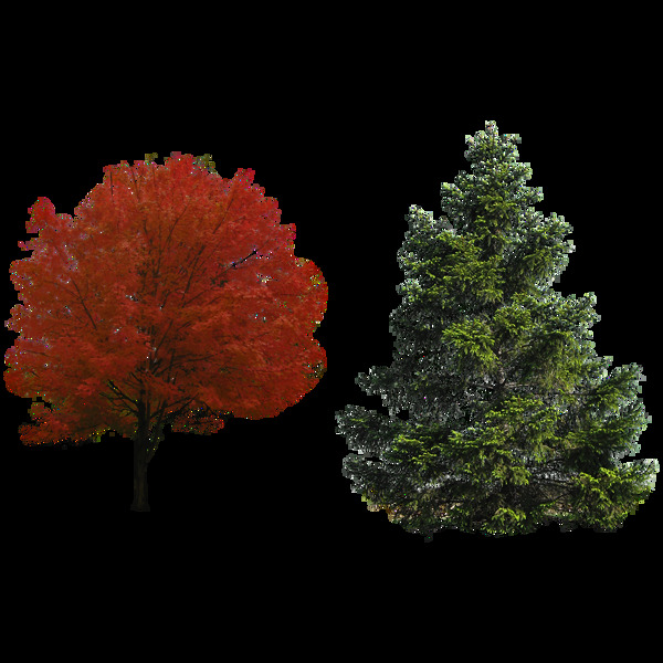 红色大树免抠png透明图层素材