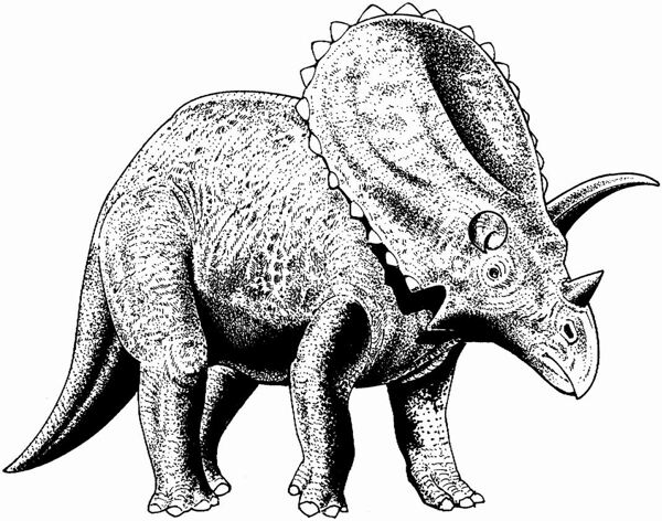 遠(yuǎn)古時(shí)代的動(dòng)物恐龍手繪畫動(dòng)物素描