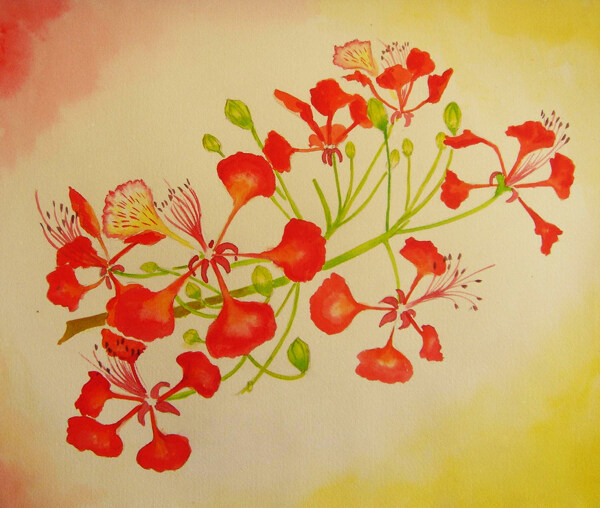 位圖植物寫(xiě)意花卉花朵免費(fèi)素材