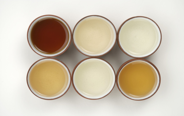 6種不同茶功夫茶圖片