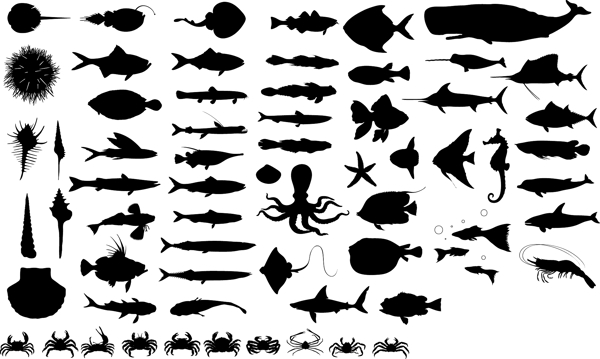 海底动物矢量素材