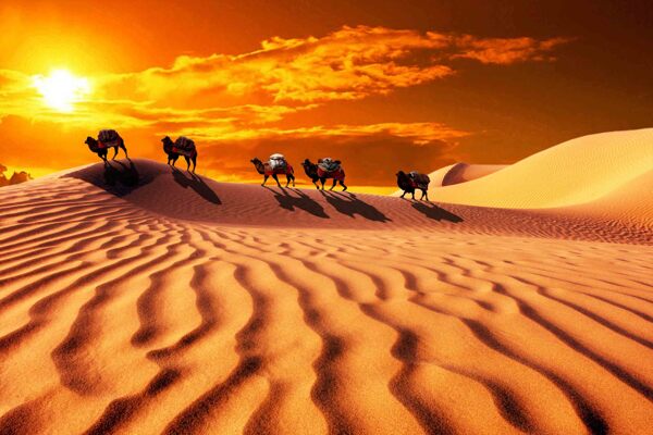 夕阳下的沙漠风光