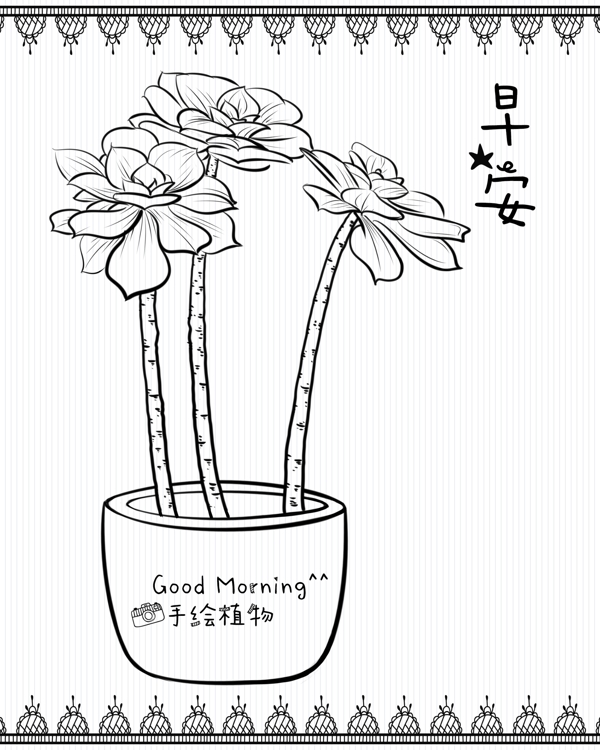 多肉植物