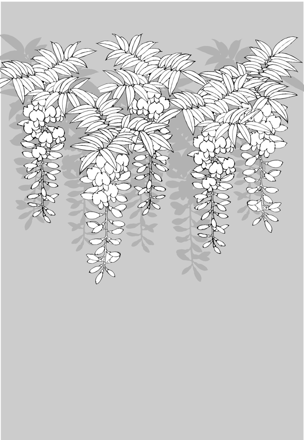 植物白描