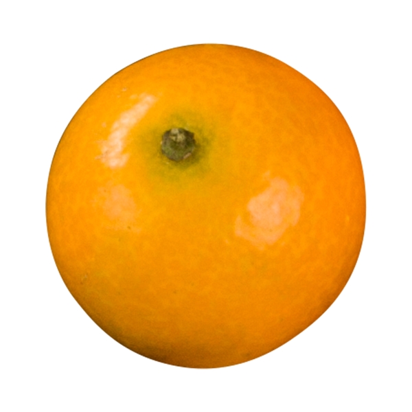 黄色圆弧橘子食物元素