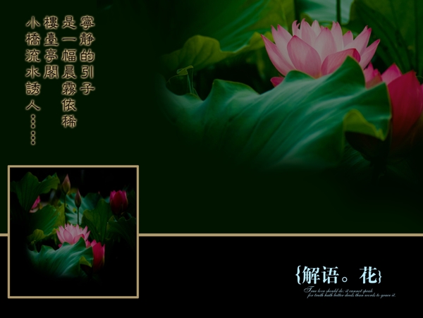 相冊(cè)模板圖片