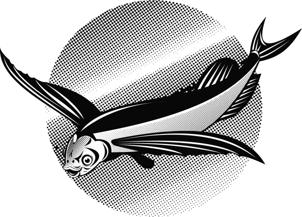 飛魚的復(fù)古風(fēng)格