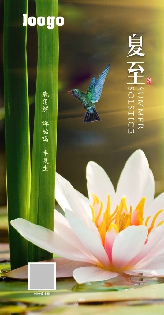 夏至節(jié)氣圖