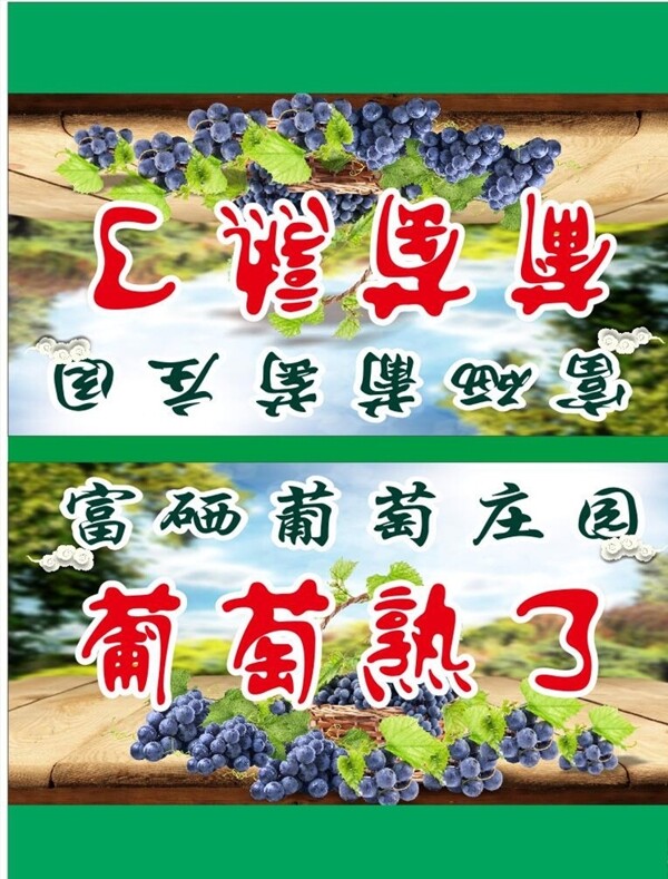 葡萄