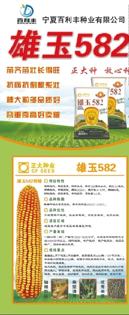 农业玉米种子