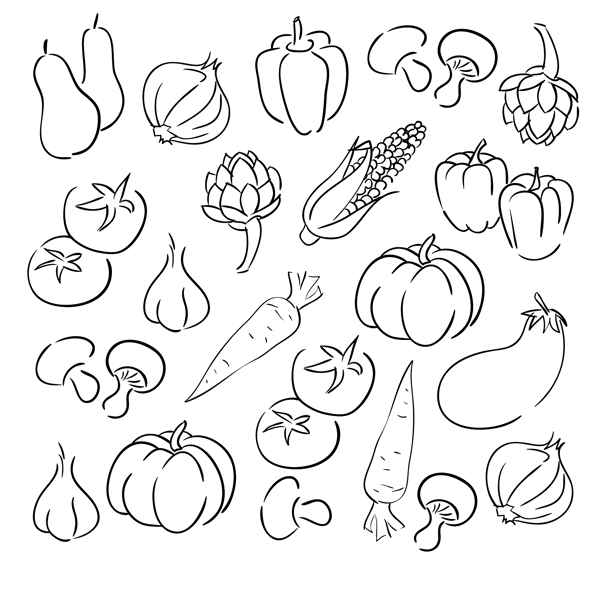 蔬菜素描