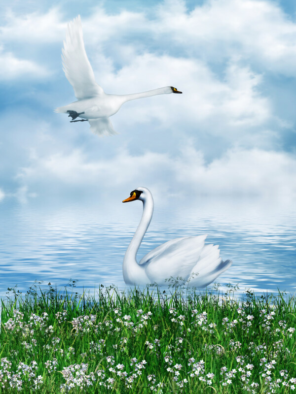 bh130150x200