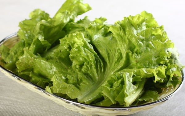 生菜圖片