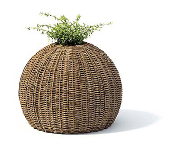 3D室內(nèi)裝飾綠色植物模型