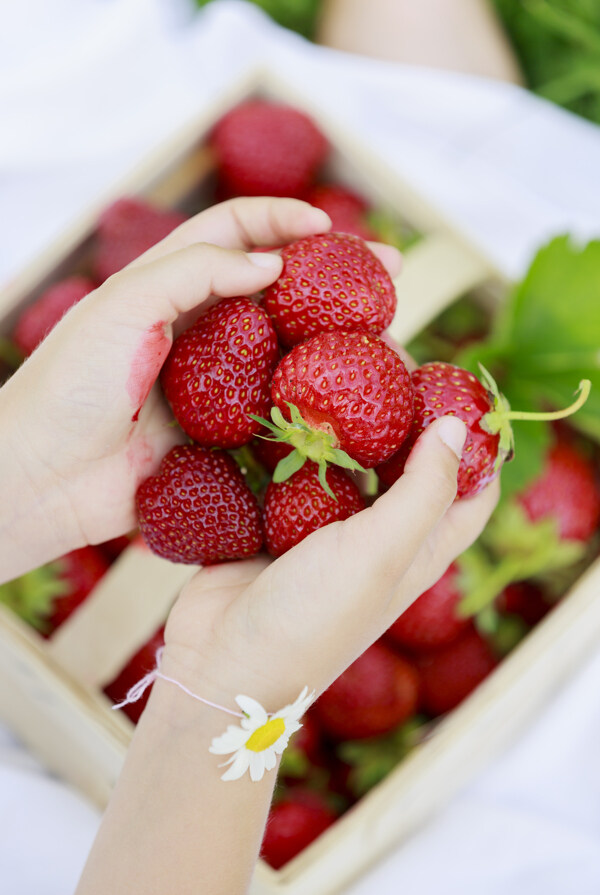 手中的草莓图片