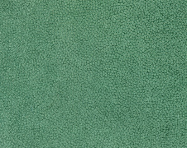 绿色花纹皮革背景