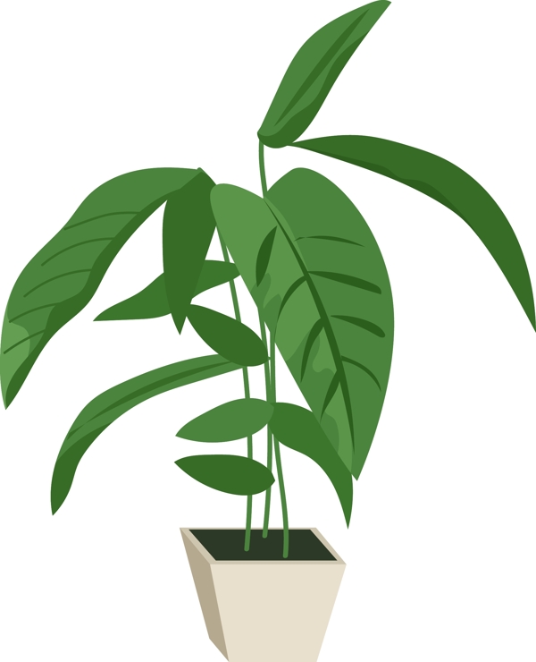 绿色室内摆设植物插图